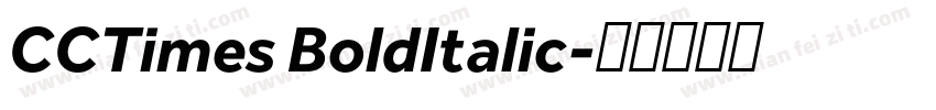 CCTimes BoldItalic字体转换